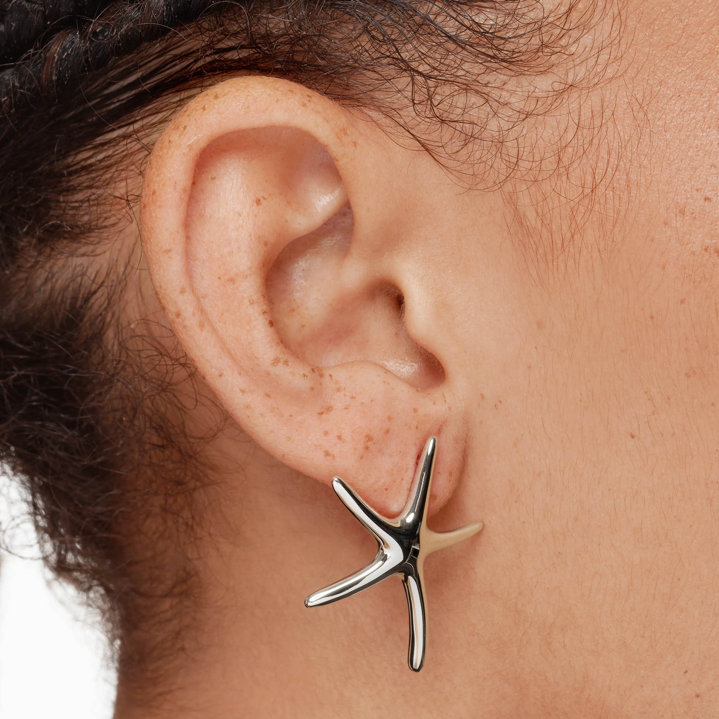 Starfish Stud Earrings in Silver